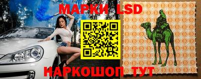 прущие грибы Тара