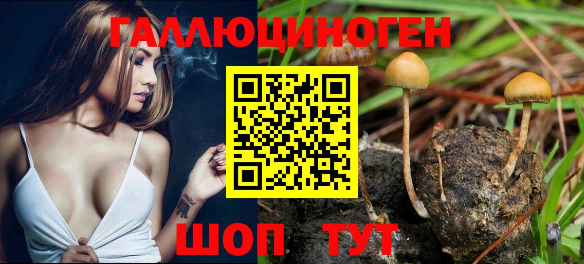 Галлюциногенные грибы Magic Shrooms Миллерово